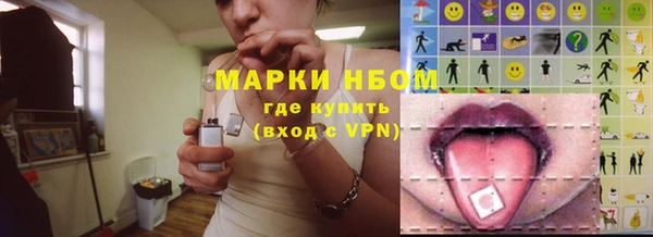 прущие грибы Богородицк