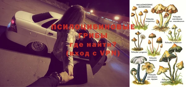 2c-b Богородск