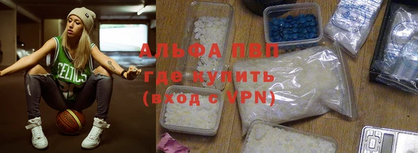 прущие грибы Богородицк