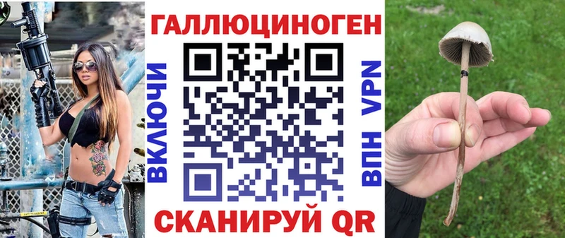 ОМГ ОМГ зеркало  Микунь  Псилоцибиновые грибы Psilocybine cubensis 